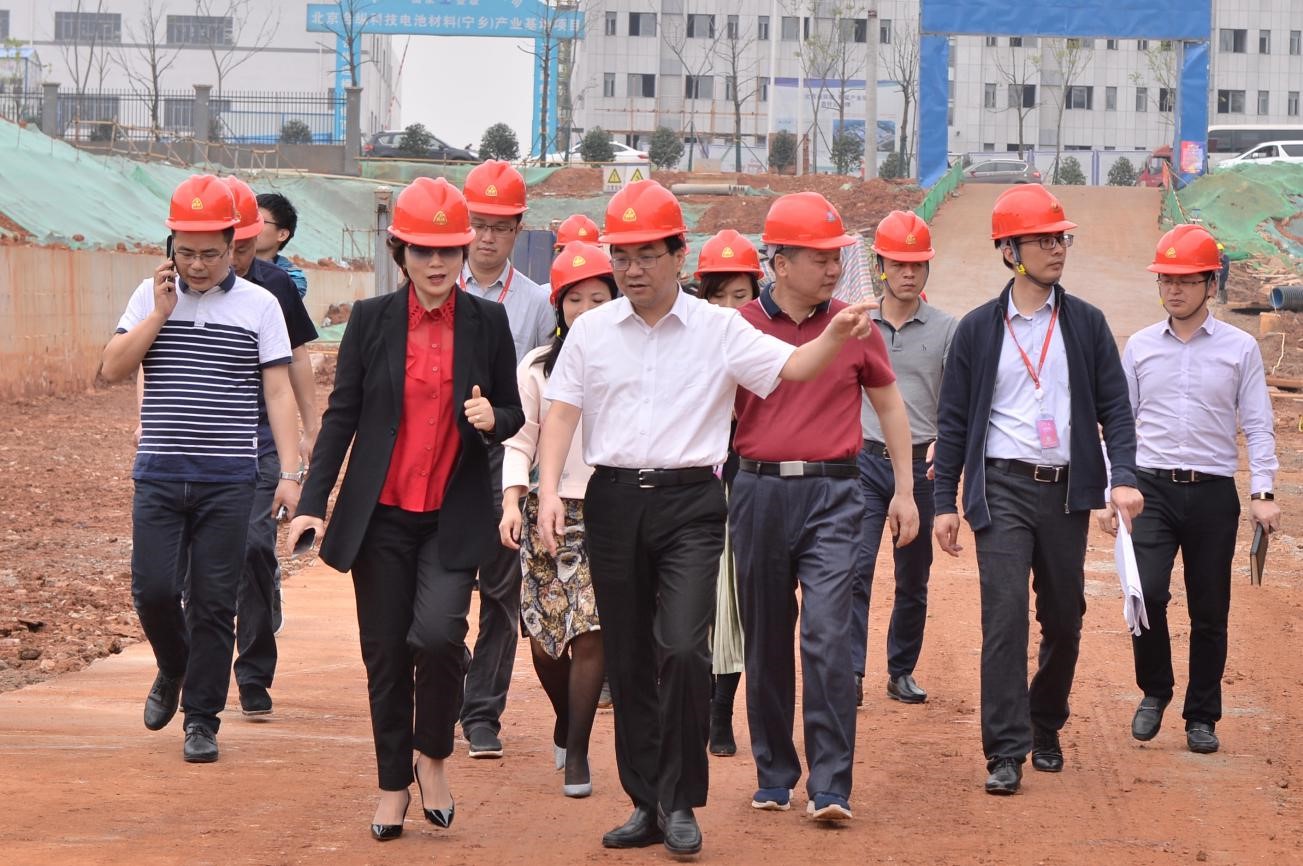 宁乡市委书记周辉赴PT电子游戏新资料宁乡基地项目调研