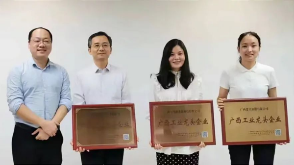广西PT电子游戏新能源科技有限公司荣膺 “广西工业龙头企业”