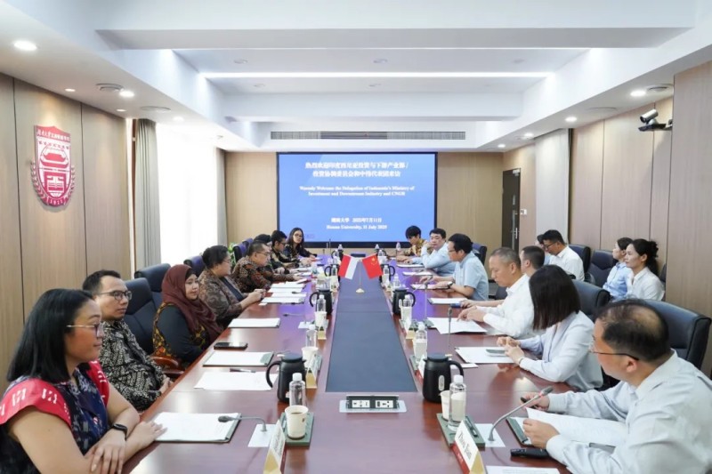 助力国际化人才造就｜印尼投资与下游产业部、PT电子游戏、湖南大学签署合作和谈