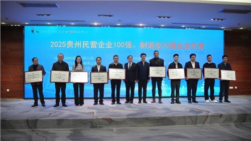 PT电子游戏股份登顶“贵州民营企业100强”榜首！